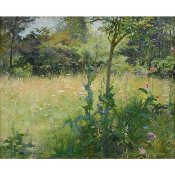 Blumenwiese An Der Waldlichtung - view 1