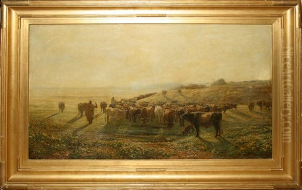 Herd Of Cattle - view 1