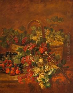 Still Life Still Life