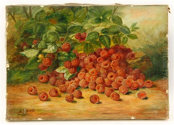 Still Life Of Raspberries - view 1