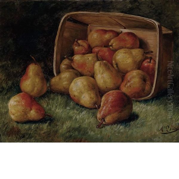 Pears Spilling From A Basket - view 1