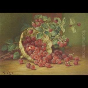 Rasperry Still Life Rasperry Still Life