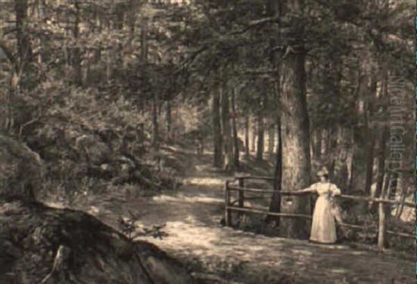Meeting In The Woods - view 1