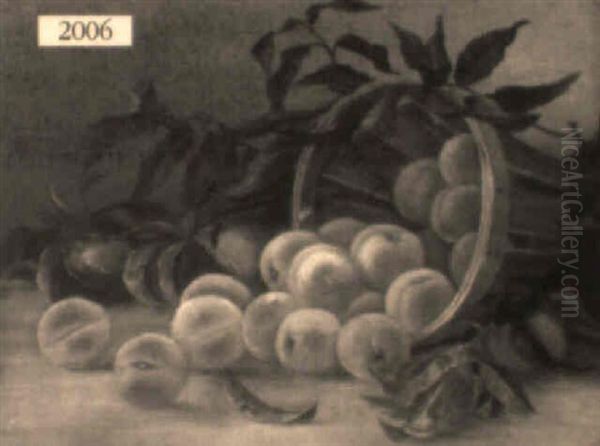 Still Life Of Peaches Spilled From A Basket - view 1