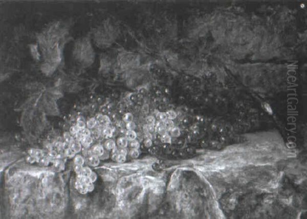 Still Life With Currants On A Stone Ledge - view 1