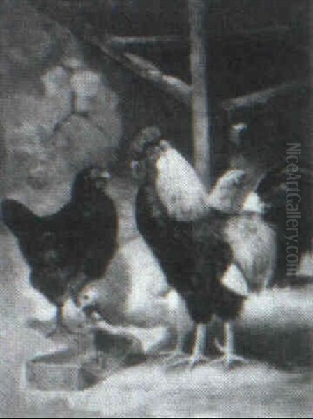 Rooster And Hens - view 1