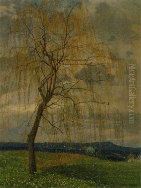 Weide Im Fruhling - view 1