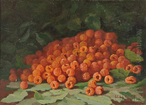 Still Life With Raspberries - view 1