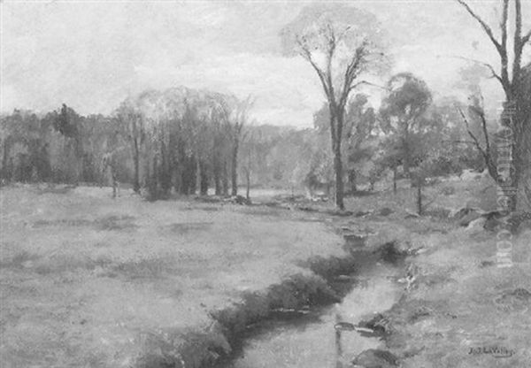 Stream Through The Field - view 1