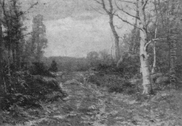 Autumn Landscape - view 1