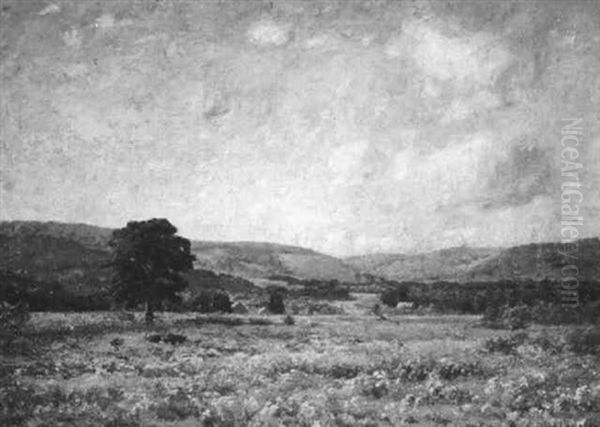 Summer Fields - view 1