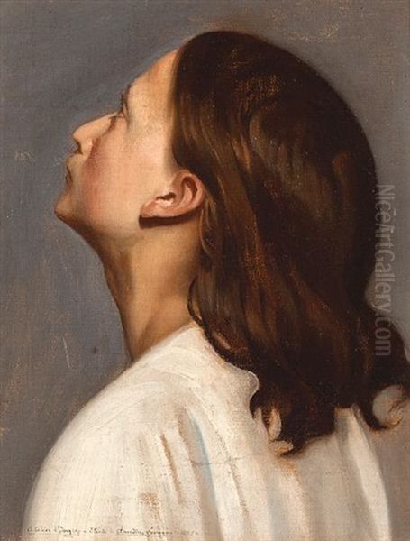 A Youth (study) - view 1
