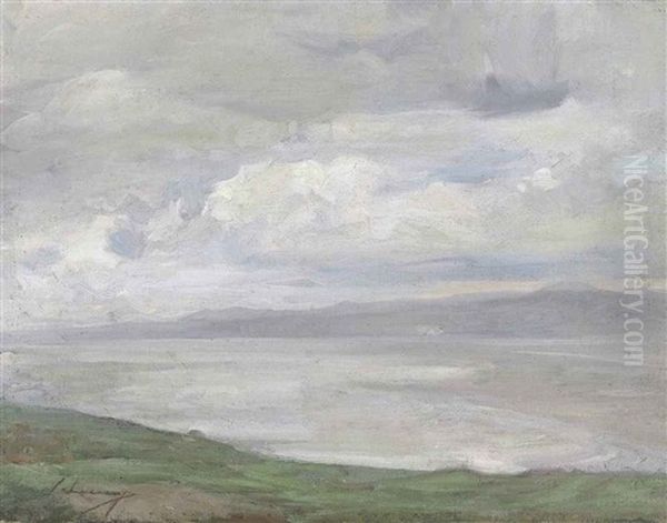 Island Magee - view 1