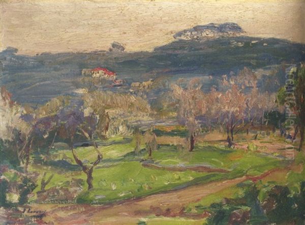 A Moorish Garden, Tangier - view 1