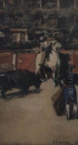 The Bullfight