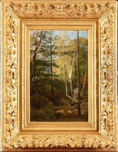 Rocher Dans La Foret
