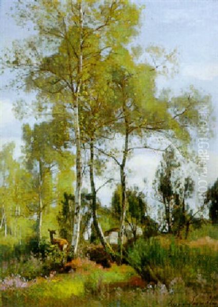 Biche Au Rocher Besnard, Foret De Fontainebleau - view 1