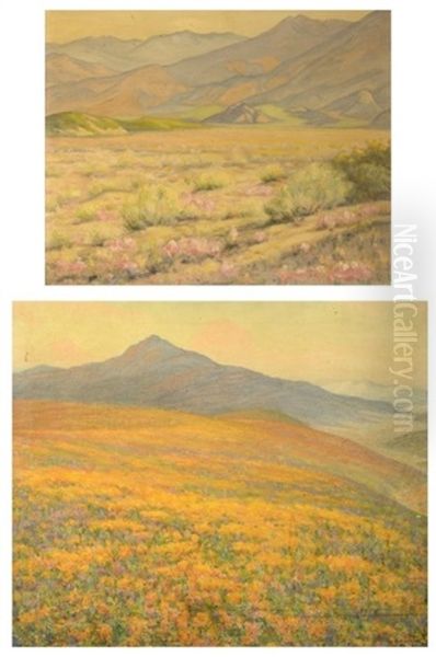 The Floral Rag Carpet; Pink Flowering Desert (2 Works) - view 1
