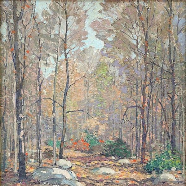Forest Clearing - view 1