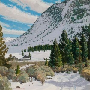 Colorado Mountainside