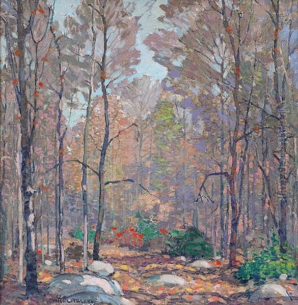A Forest Opening - view 1