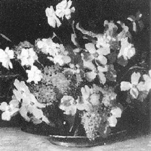 Still Life With Dogwood by Carl Lawless