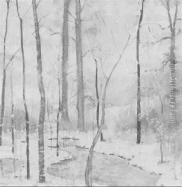 Winter Snow Scene - view 1