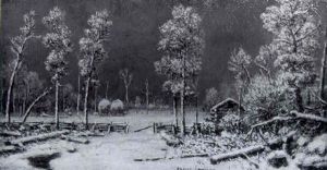 Winter Landscape Winter Landscape