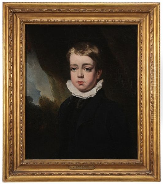 Portrait Of A Boy In A Landscape - view 1