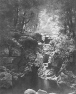 Woodland Interior, Adirondacks by Alexander Lawrie