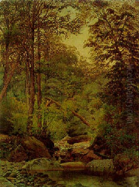 Woodland Interior - view 1