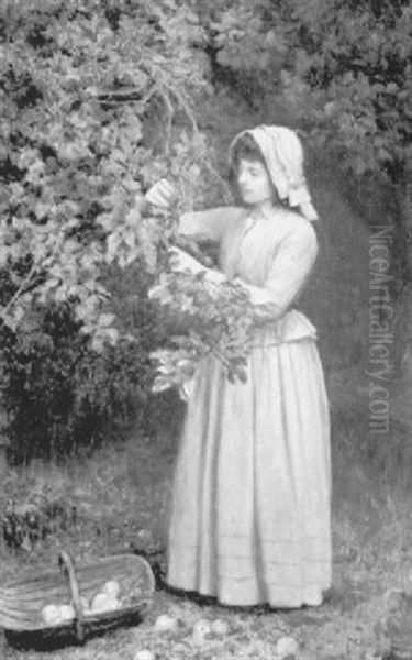 In The Apple Orchard - view 1