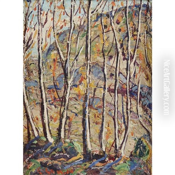 Stripling Birches - view 1