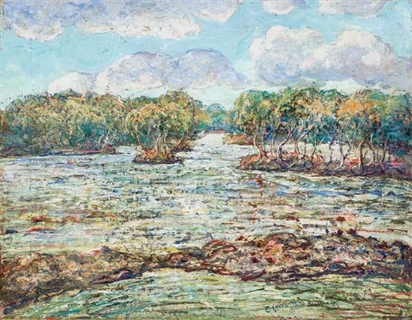 Mangrove Trees, The Florida Everglades, C. 1938 - view 1