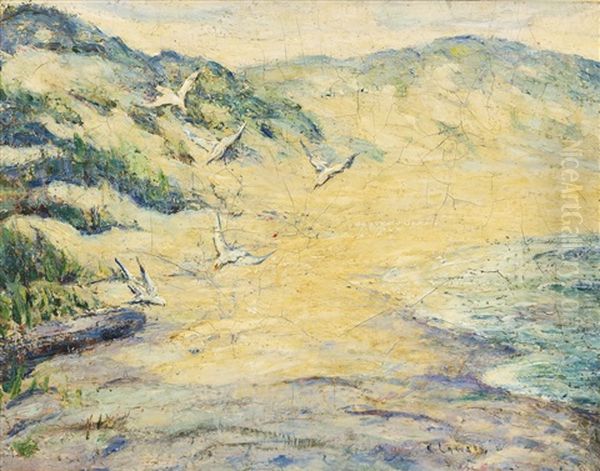 Flying Birds - view 1