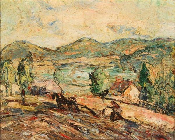 Plowing The Field - view 1
