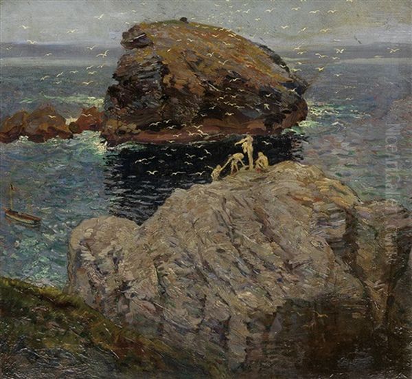 Divers And Gulls - view 1