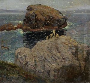 Divers And Gulls