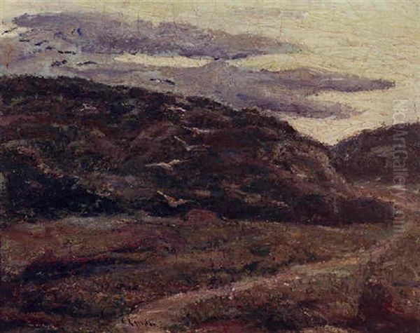A Flock Of Birds Rounding A Hillside At Dusk - view 1