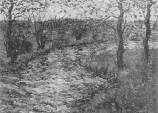 River View - view 1