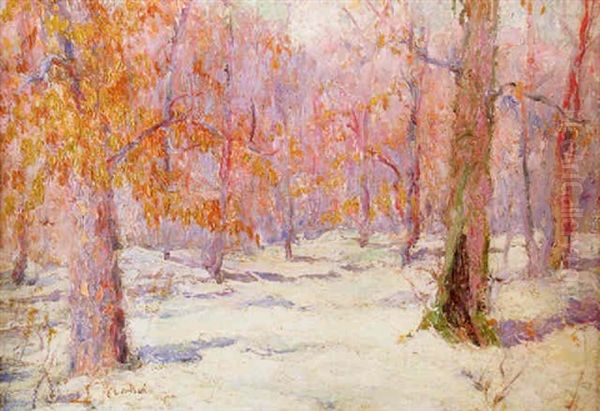 Winter Forest Landscape - view 1
