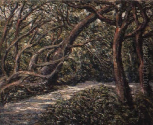 Path In The Forest - view 1
