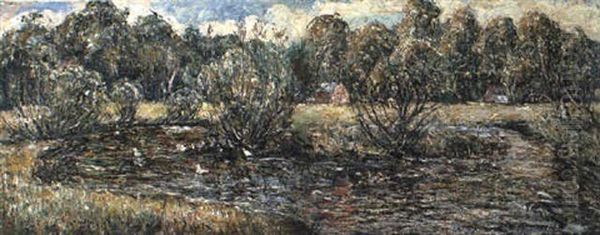 Duck Pond At Norfolk, Connecticut - view 1