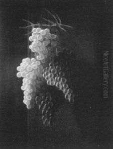 Hanging Grapes