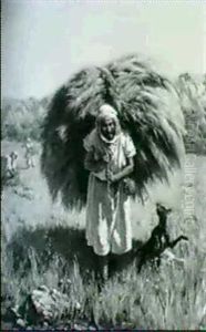 Oriental Man Gathering Straw