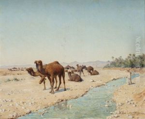 Chameaux A L'oued Chameaux A L'oued