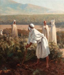 In The Desert
