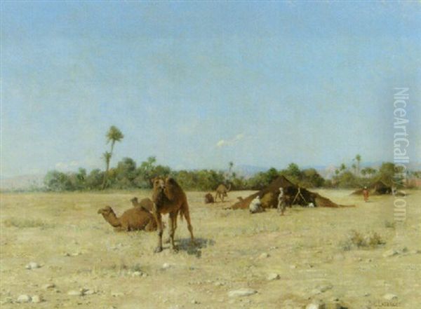 Camels By An Arab Encmpment - view 1