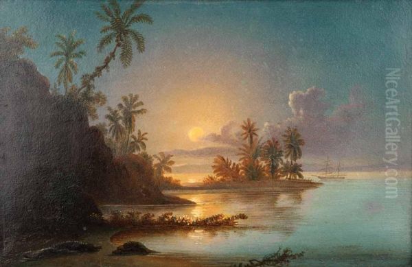 Paisaje - view 1