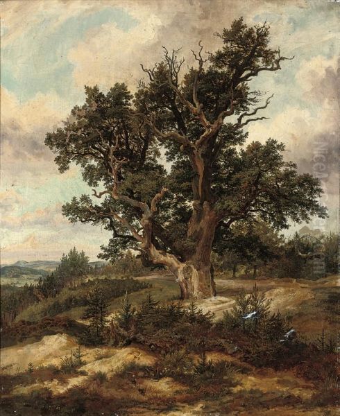 Tree On A Mountain Pass - view 1